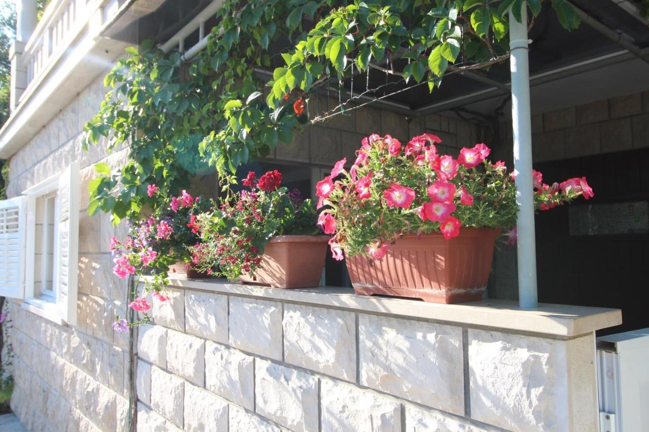 Apartment Ruzica Zrnovo 외부 사진